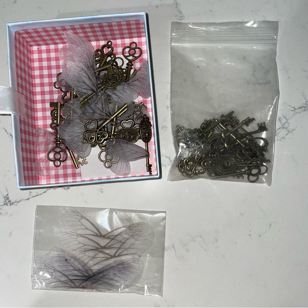 48 Pack of Keys & Wings